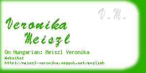 veronika meiszl business card